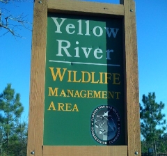 The Yellow River Wildlife Management Area is located in Holt, Florida.